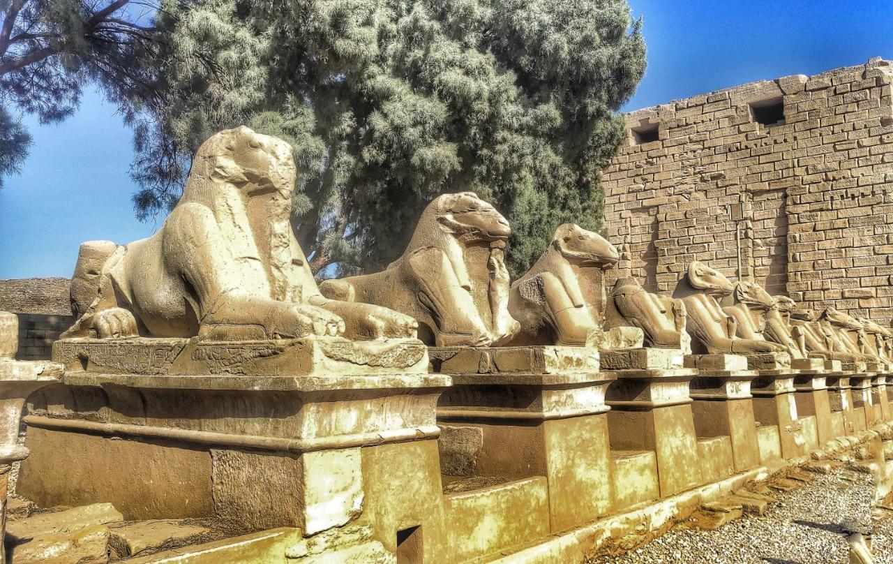 Royal Home Luxor Nile View Eksteriør bilde
